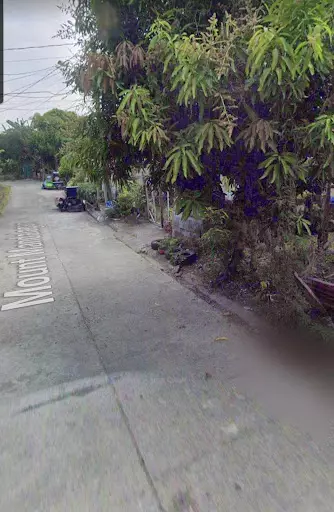Rush for Sale Lot only at Villa Estefania Fortune Town Bacolod City — Residential Lot in Cebu City, 6000 Cebu, Philippines — Photo 4