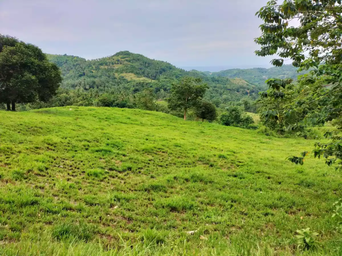 Affordable lot — Agricultural Lot in Carmen, Cebu, Philippines — Photo 3
