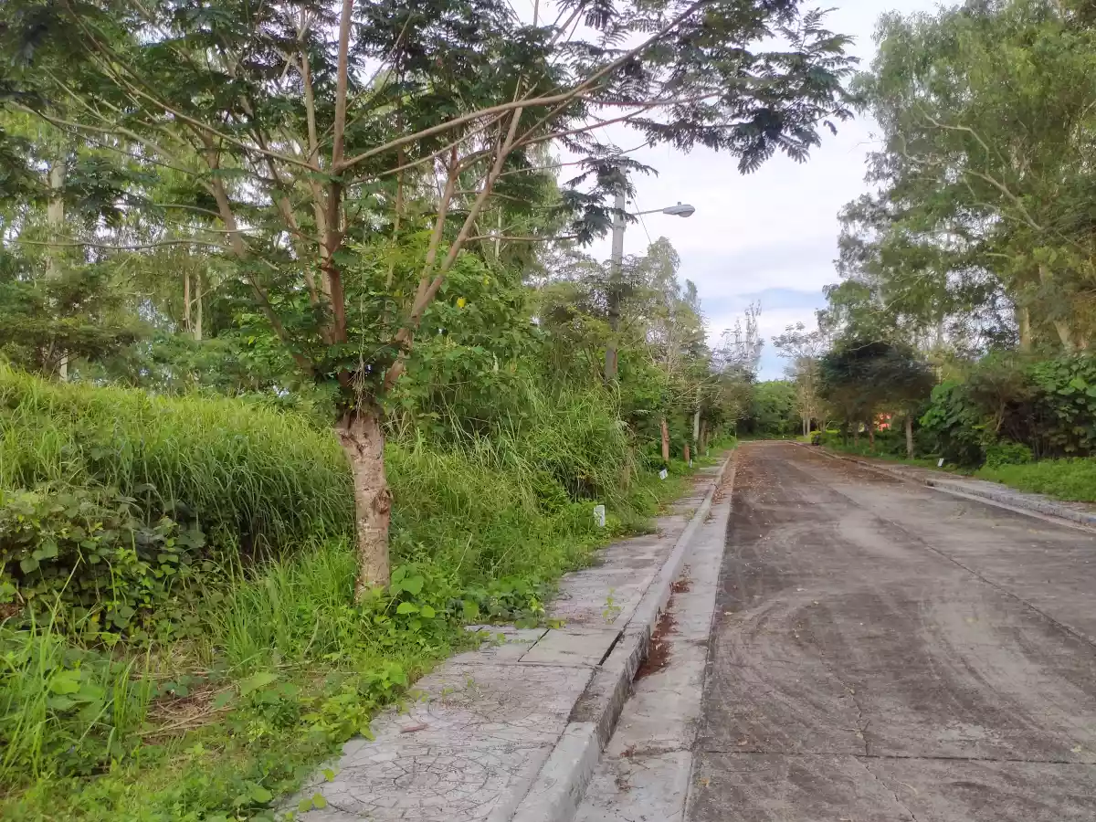 High End Residential Lots - Santa Barbara Heights - photo 2