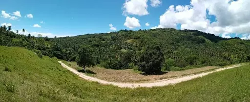 Open photo 13 of 27 — Very rush sale farm lot