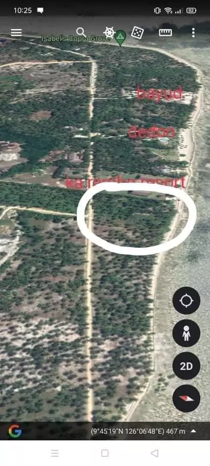 BEACH LOT FOR SALE IN MALINAO, GENERAL LUNA, SIARGAO - photo 3