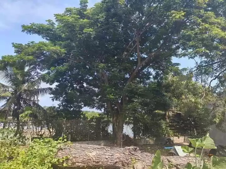 For Sale Lot — Residential Lot in Cebu, Philippines — Photo 7