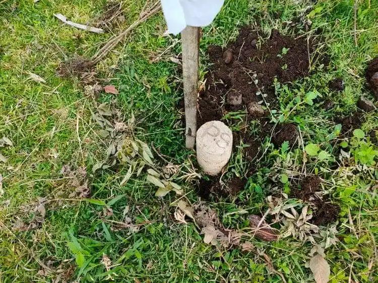 Residential in maayong tubig - photo 5