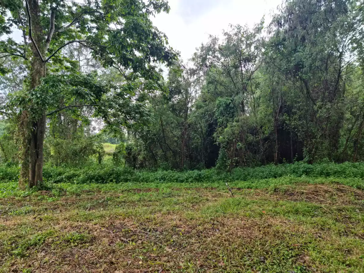 Pueblo Golf Estates Fairway Lot for Sale - photo 6