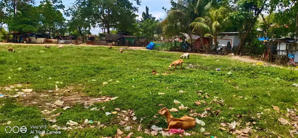 Commercial Lot For Sale in Paknaan, Mandaue - photo 2
