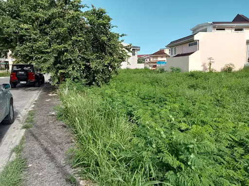 LOT FOR SALE IN CORONA DEL MAR? — Residential Lot in Pooc, Talisay, Cebu — Photo 4