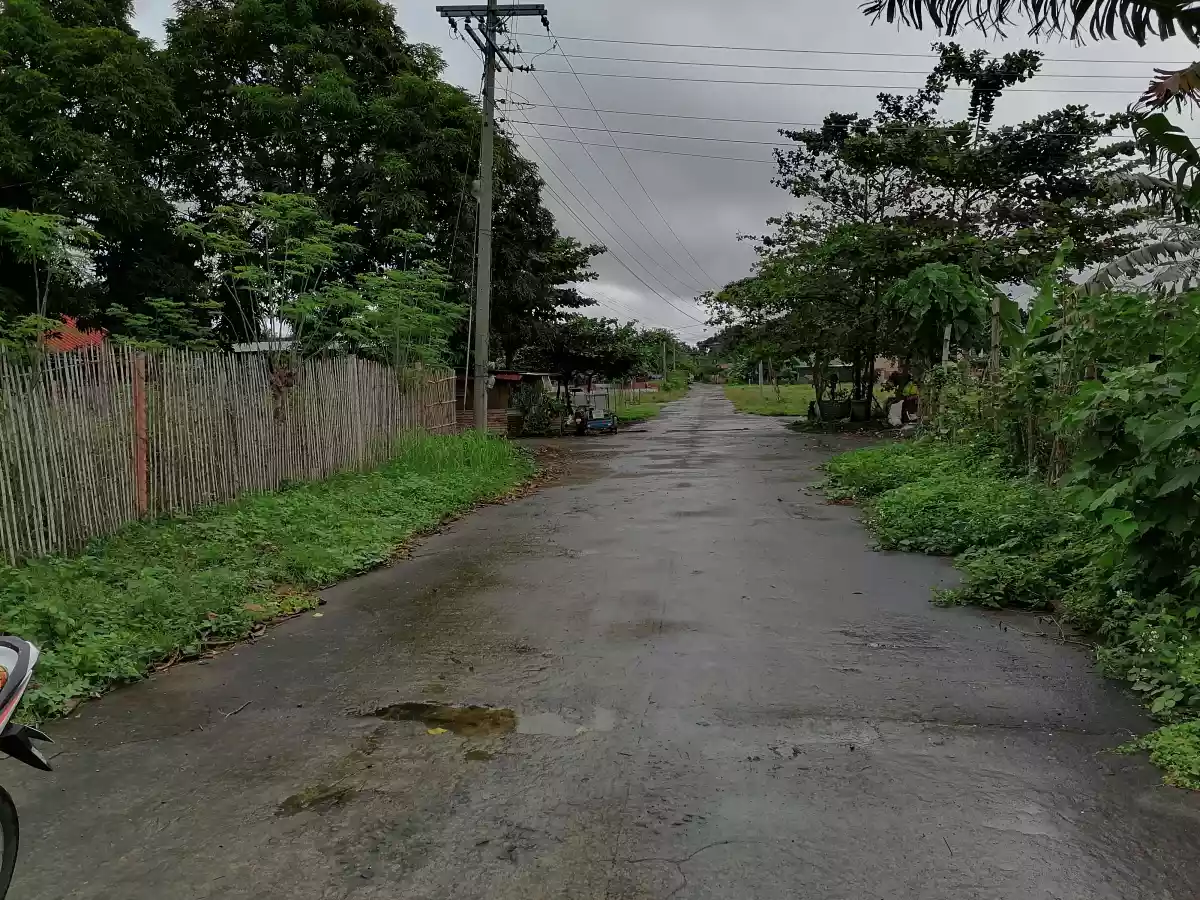 140 sqm in San Esteban Village Bago City - photo 3