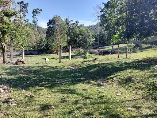 Lots for Retirement in Valencia/Dumaguete — Agricultural Lot in Negros Oriental, Philippines — Photo 6