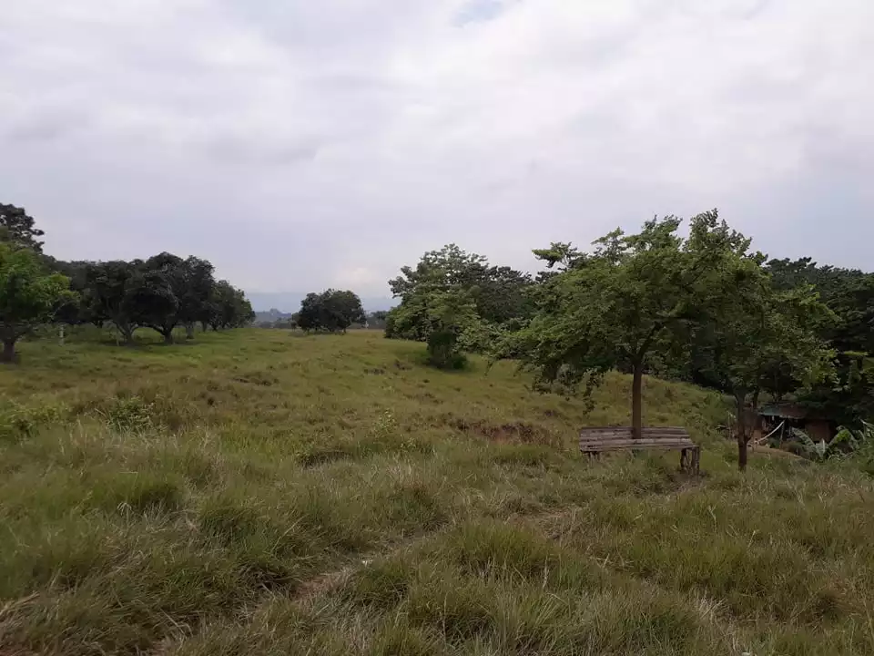 UPTOWN CAGAYAN DE ORO CITY RESIDENTIAL LOT - photo 7