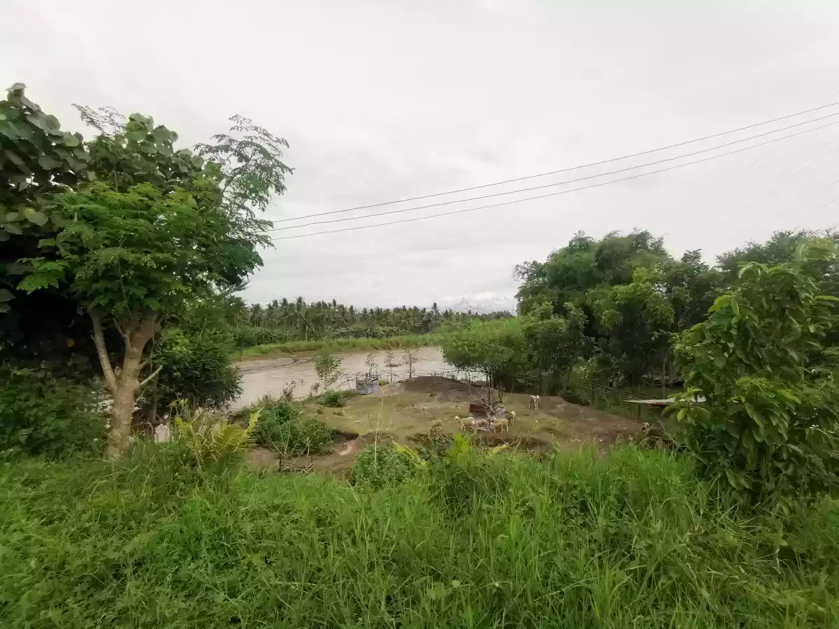 1.5hectares Quarry Area with 1.8has permitted quarry. river - photo 4
