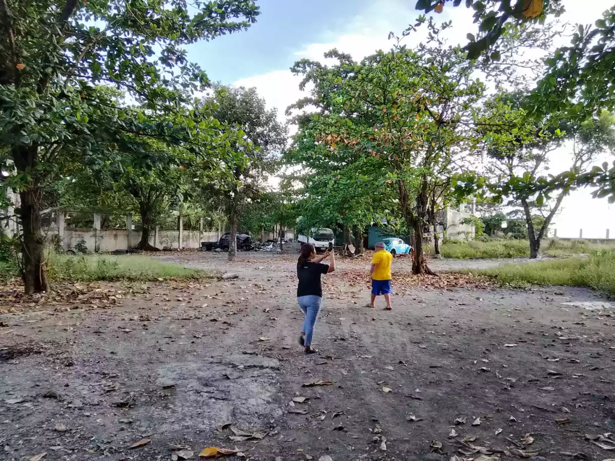 Beach Lot in Talisay, Cebu - photo 3