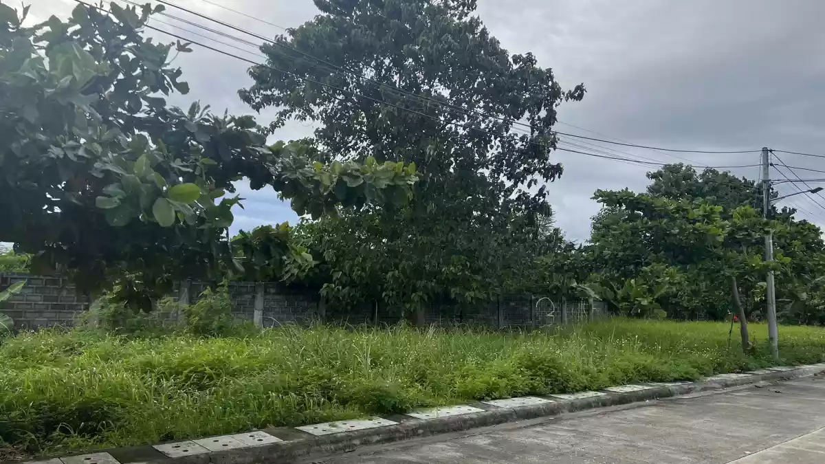 Pacific Grand Villas — Residential Lot in Lapu-Lapu City, Cebu, Philippines — Photo 3