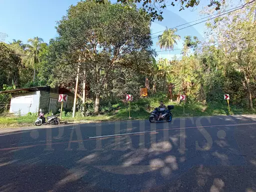 Magnificent view from the top — Agricultural Lot in Catbalogan City, Samar, Philippines — Photo 3