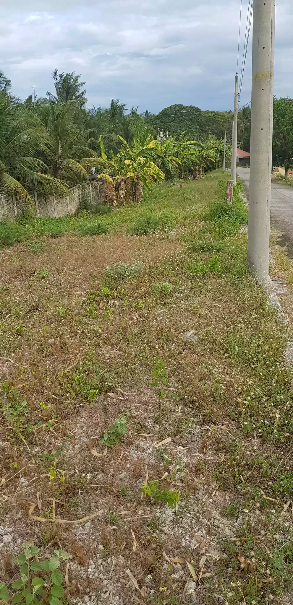 144 sqm Lot only in Glen Rose Residential Estate, Perrelos, Carcar City, Cebu - photo 3