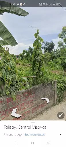 Lot for sale — Residential Lot in Minglanilla, Cebu, Philippines — Photo 3
