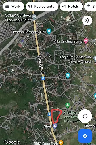 Commercial Lot for sale in Cordova — Commercial Lot in 8WHH+6V6, Lopez Jaena St, Tipolo — Photo 3