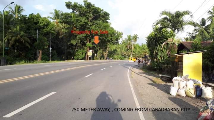 Commercial lot for Sale - photo 6