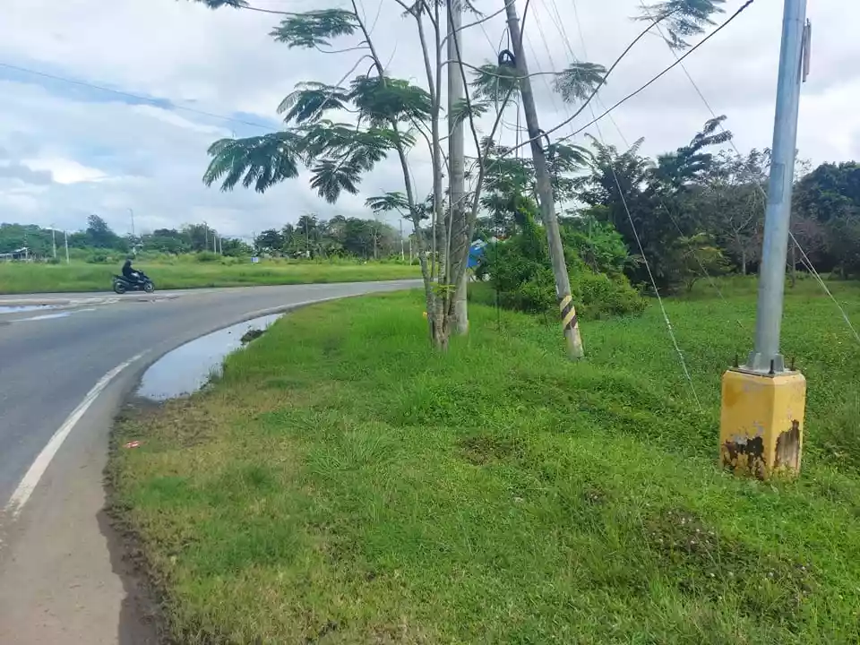 Lot For Sale - photo 5