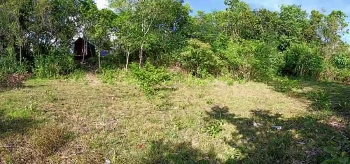 Lot For Sale in Dauis, Bohol — Residential Lot in Bohol, Philippines — Photo 6