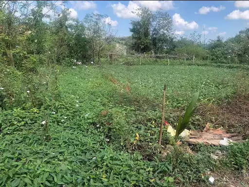 T7144651 — Residential Lot in Mandurriao, Iloilo City, Iloilo — Photo 4