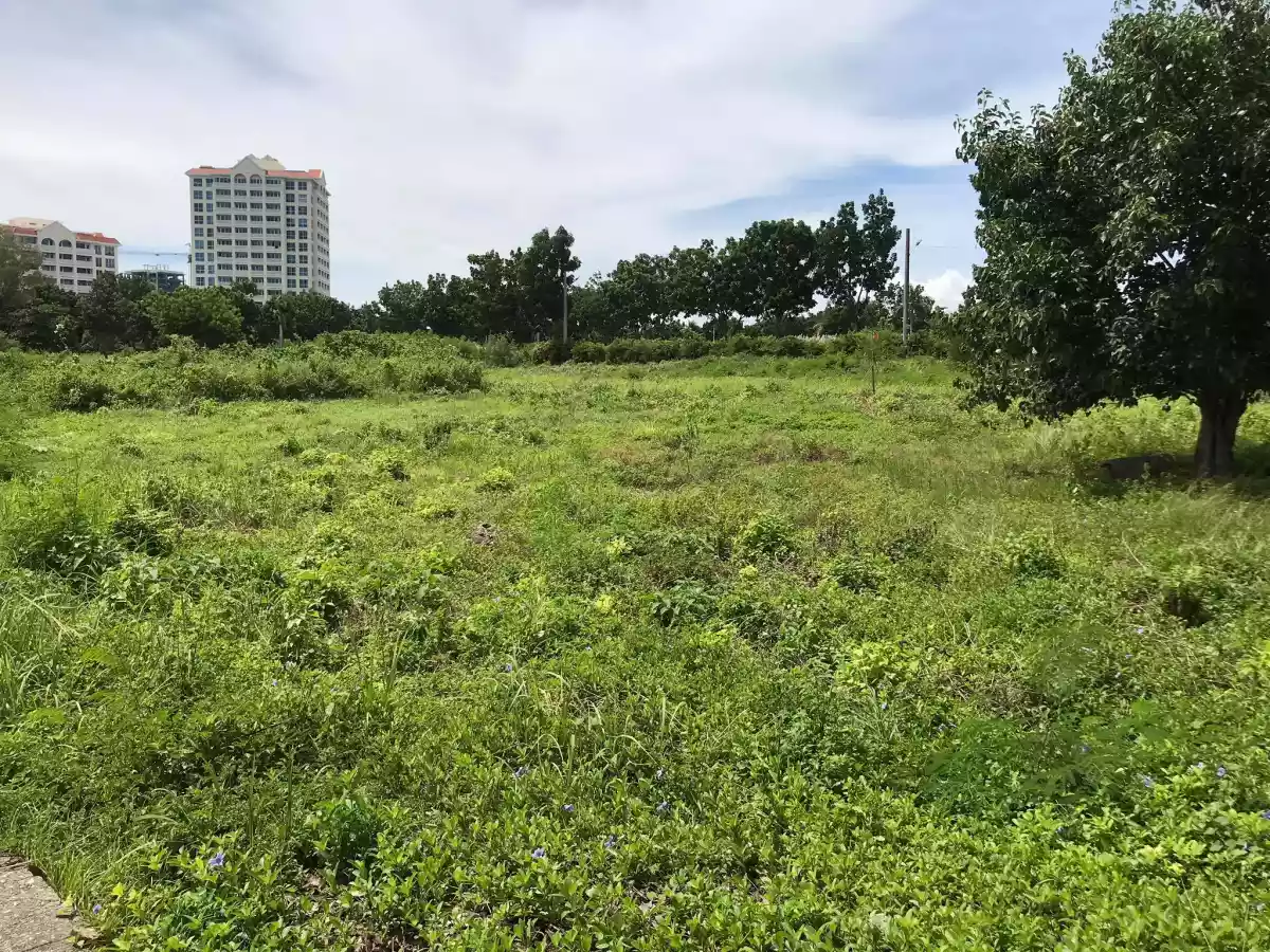 Beach lot for sale - photo 3
