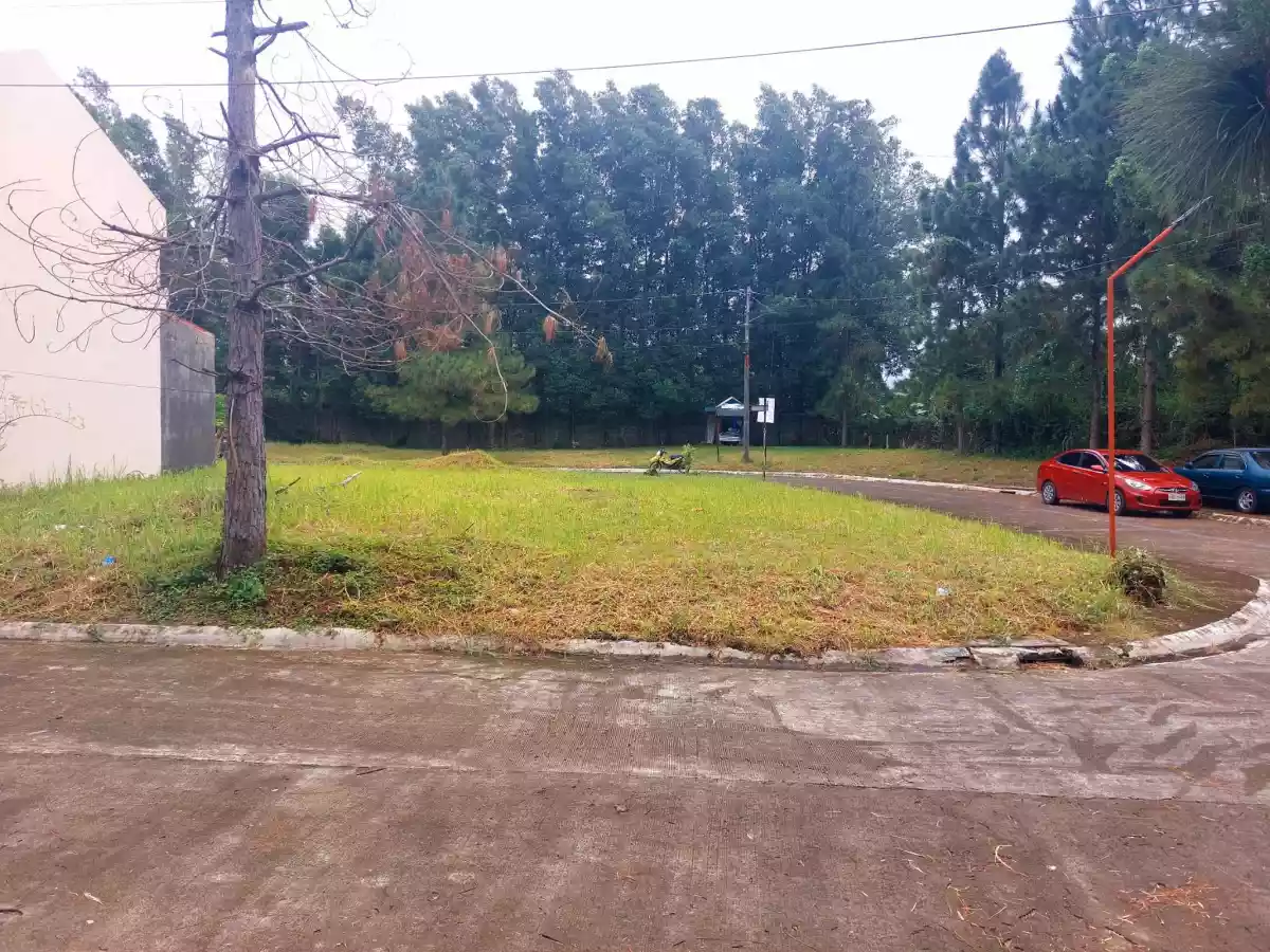 Corner Lot in Camella Mandalagan — Residential Lot in Bacolod, Negros Occidental, Philippines — Photo 5