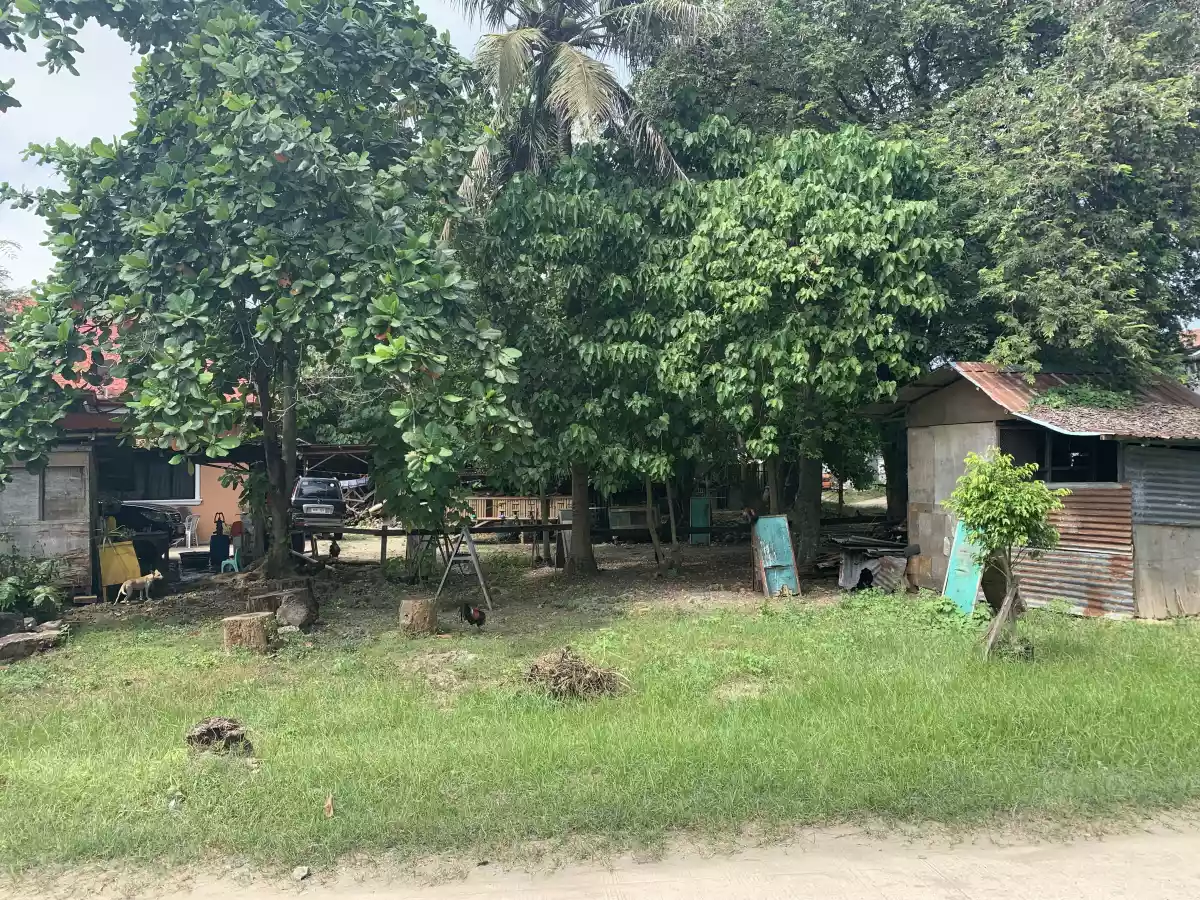 A corner residential lot for sale in Cordova  - photo 4