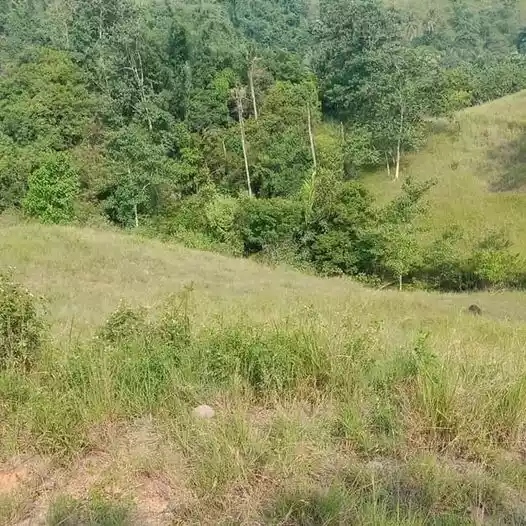 For Sale Titled LOT - photo 2