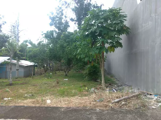 Rush Lot For Sale — Residential Lot in Camarines Sur, Philippines — Photo 5