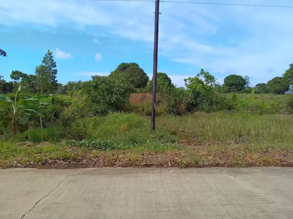 RUSH SALE NICE LOCATION 5.8 HECTARE LAND CLEAN TITLED CAN BE SUBDIVIDED IN NARRA PALAWAN PERFECT FOR RESORT/FARM/RESIDENTIAL USE! - photo 6