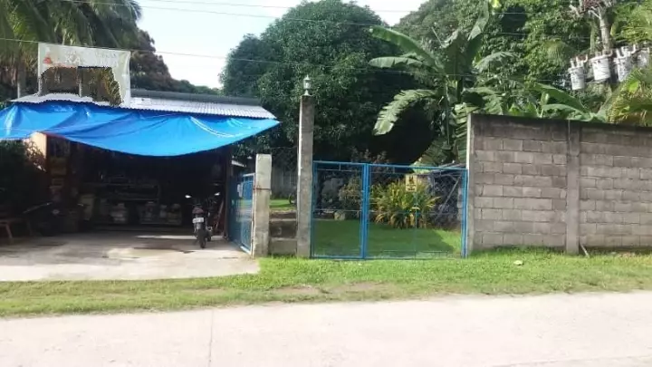 Clean title House and lot for sale in Bacong,Negros Oriental (along the road)