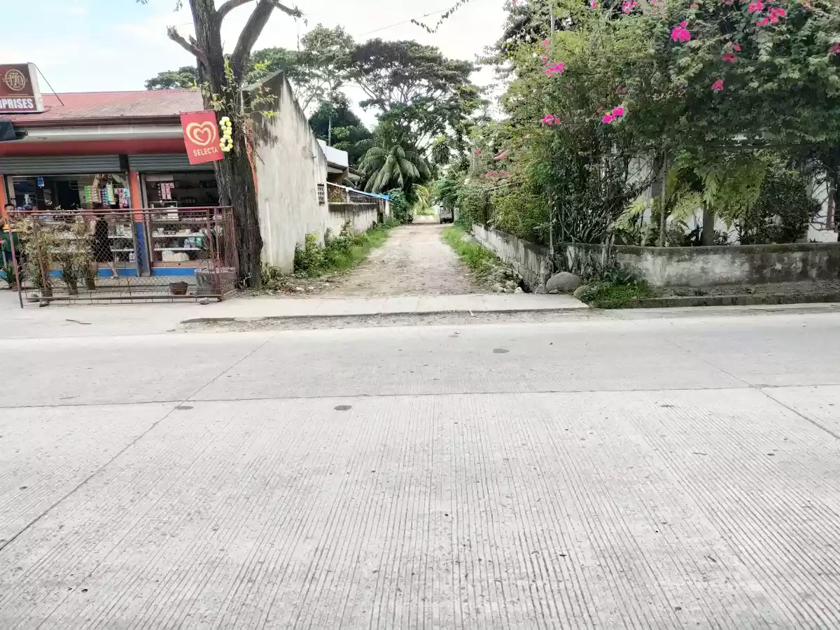 Residential Lot for Sale in Candau-ay, Dumaguete City — Residential Lot in Dumaguete City, Negros Oriental, Philippines — Photo 3