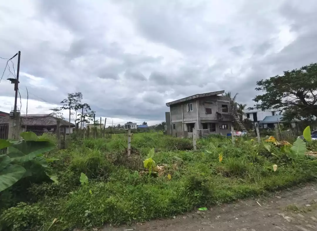 Residential Lot in Modern Village