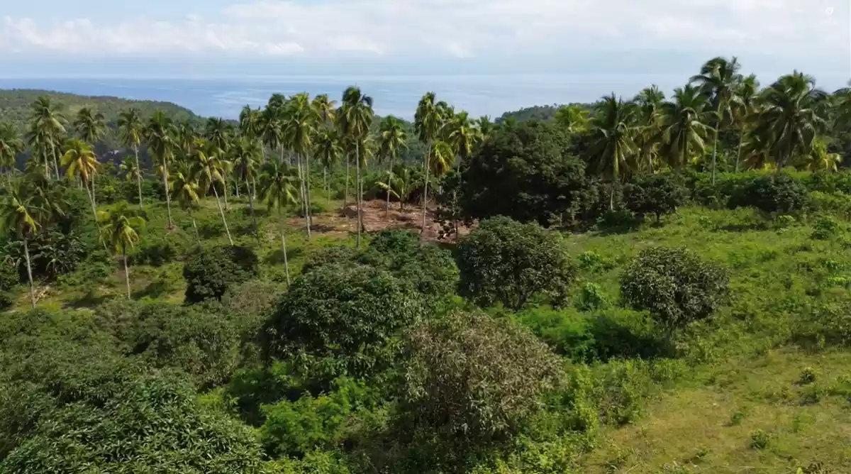 13 Hectares Overlooking Farm Property in Samal City — Agricultural Lot in Kaputian, Samal City, Davao del Norte — Photo 5