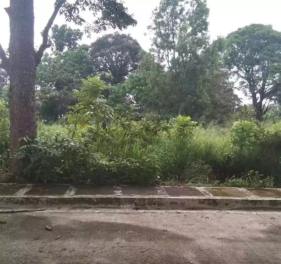 La Herencia Subdivision - photo 4