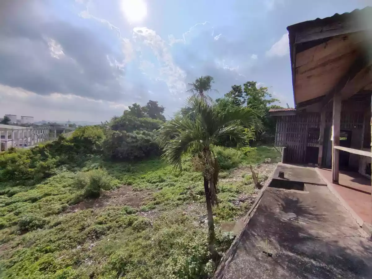 FOR SALE Lot in Tayud, Consolacion, Cebu — Agricultural Lot in Consolacion, Cebu, Philippines — Photo 5