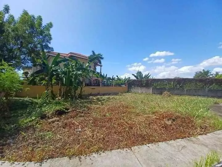 PRIME LOT INSIDE CORONA DEL MAR  - photo 4