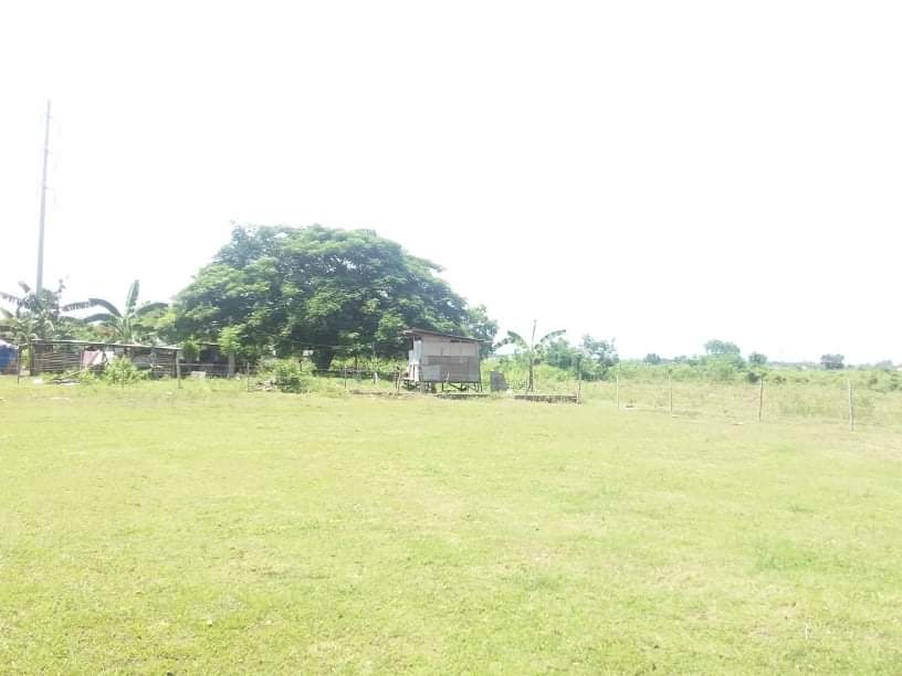 Mabuhay Lot Near NGCP - photo 3