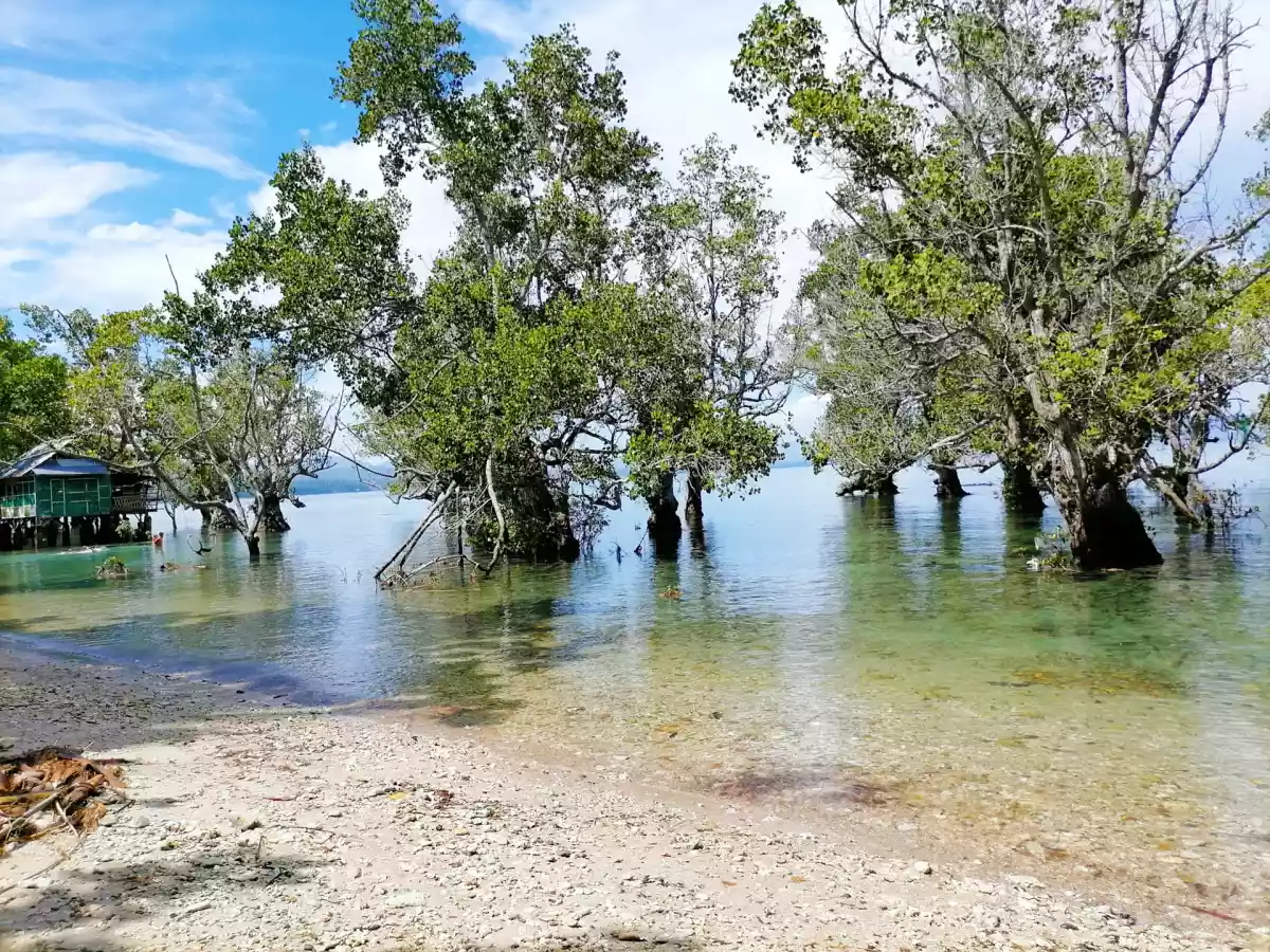 568 SQM Beach Lot FOR SALE!  - photo 2