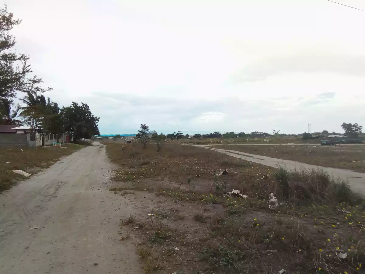 4500 sqm lot for Sale in Tambler