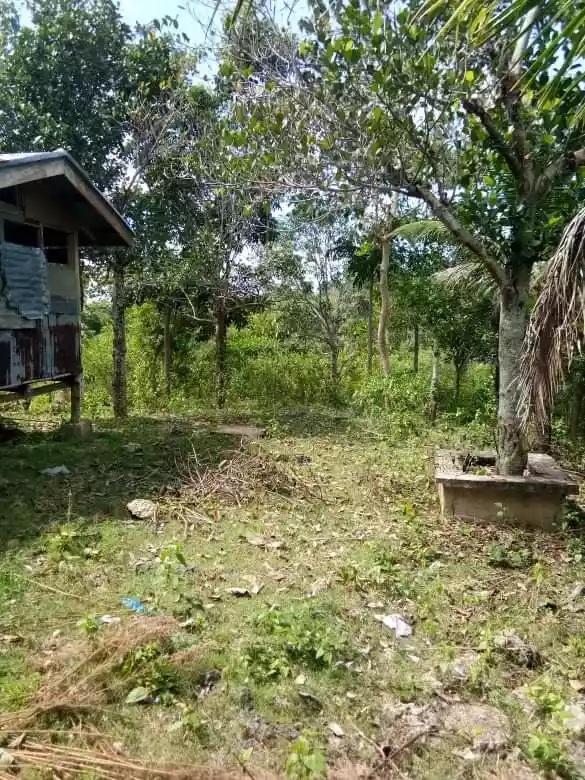Lot for Sale - photo 2