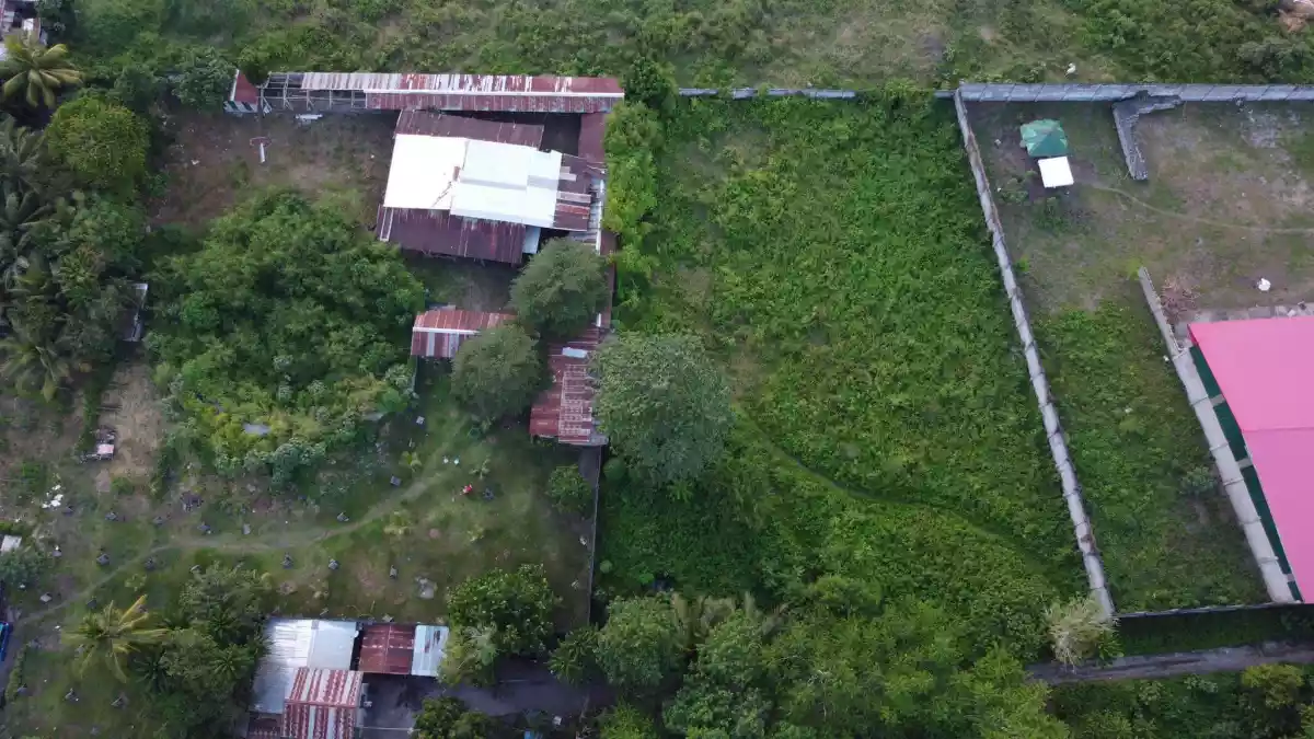 Lesson property