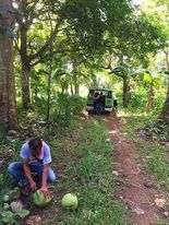 SUPER RUSH SALE ð…ð€ð‘ðŒ ð‹ðŽð“  ðŸð¨ð« ð’ð€ð‹ð„ 8.9561 ð‡ðžðœð­ðšð«ðžð¬, 150/sq m. LOWERED TO 100/sqm. - photo 7