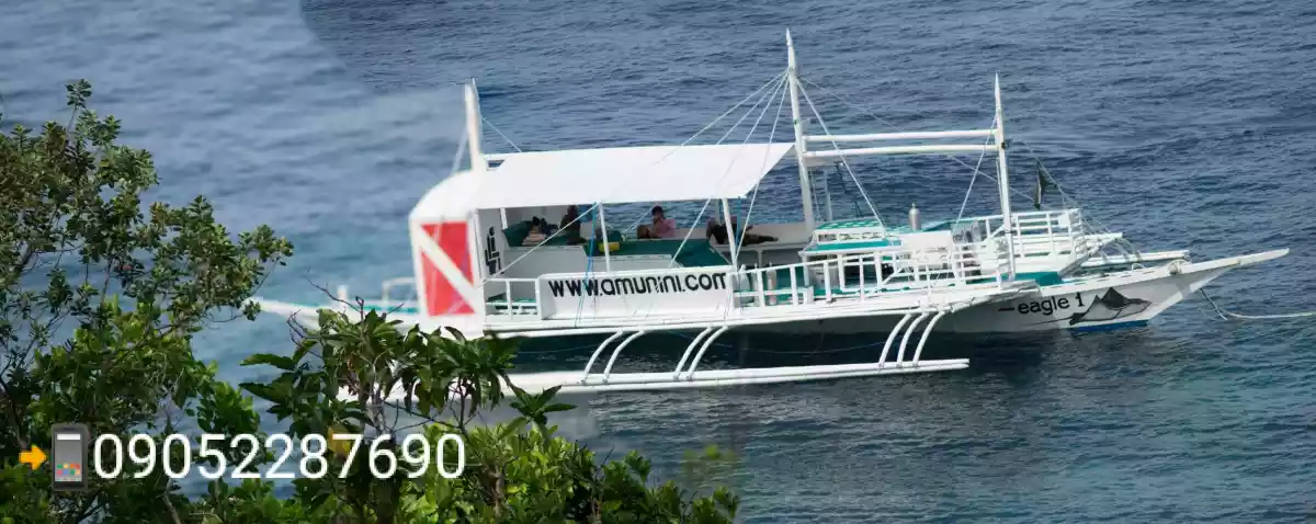 1.9 hectares along Beach  Land,Perfecr Investment Ideal for Dive and Beach Resort in Anda Bohol