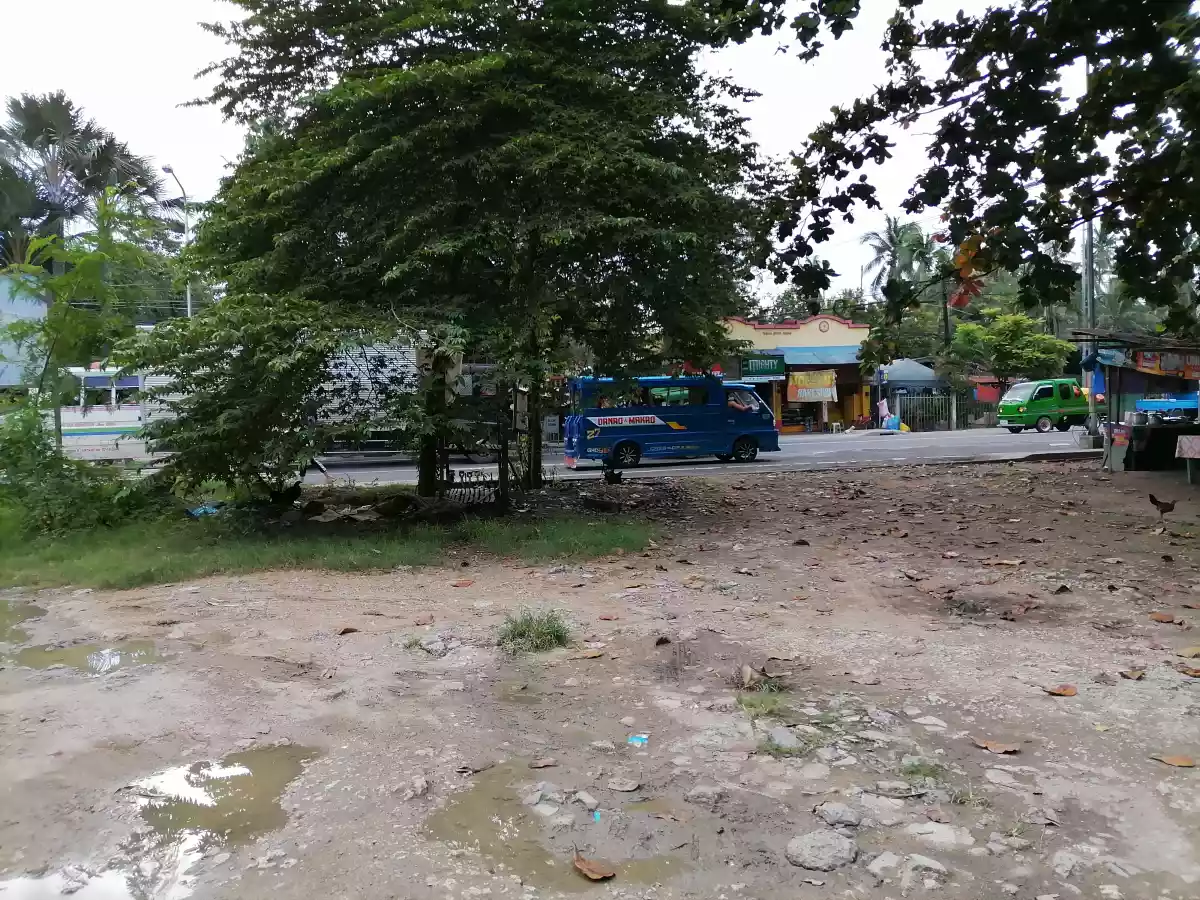 AGRICULTURAL/RESIDENTIAL LOT FOR SALE - photo 2