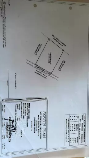 Commercial Lot For Sale in Balamban