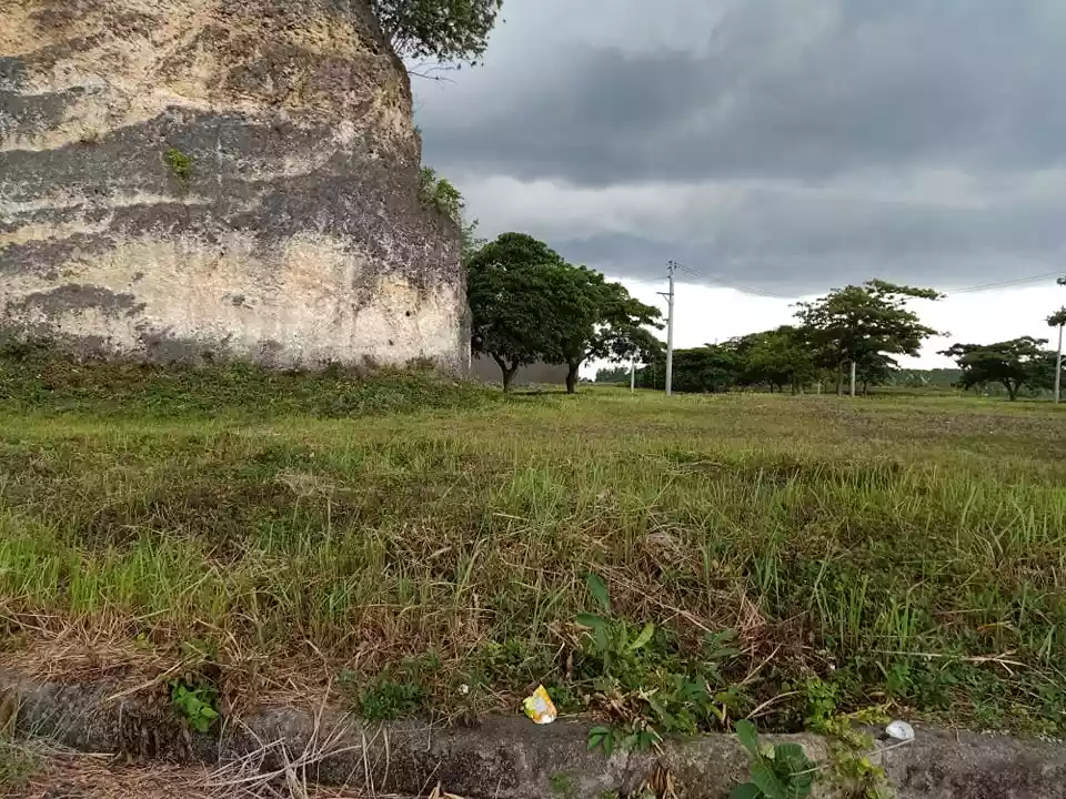 LOT near the Park at Aspen Heights, Consolacion, Cebu - photo 6