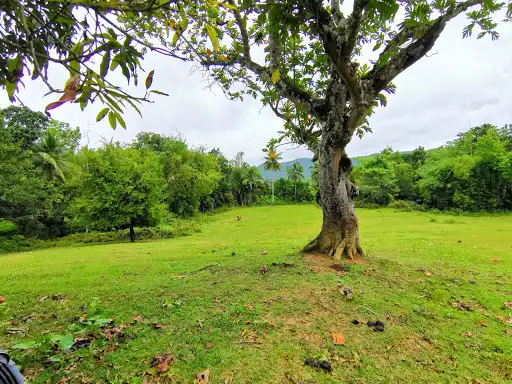 Open photo 18 of 25 — Farmlot for Sale - Carcar 400/sq.m