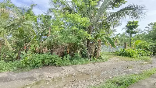 Open photo 13 of 13 — Lot For Sale Near Greensville 3 Bacolod City