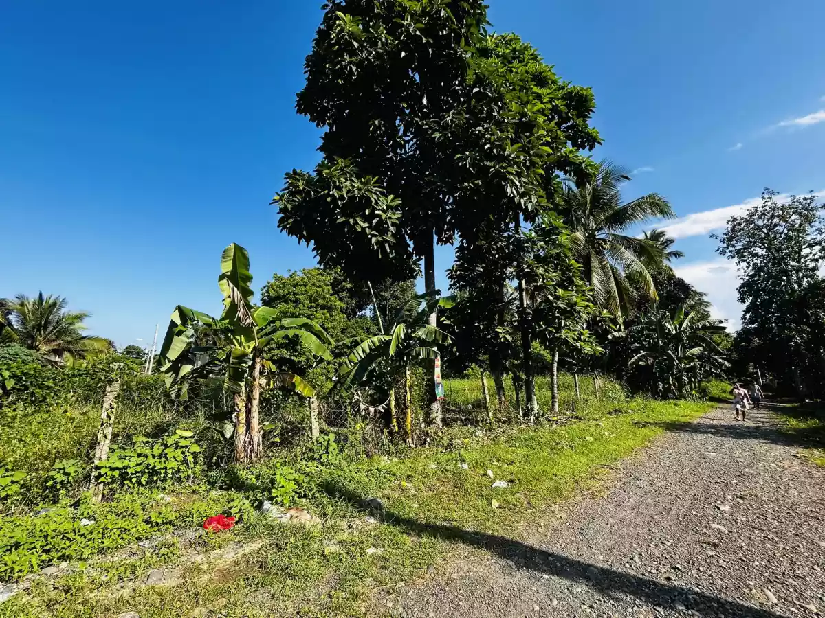 Residential Lot for Sale in Catalunan Pequeño — Residential Lot in Talomo, Davao City, Davao del Sur — Photo 5
